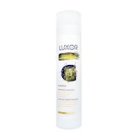 Изображение Энергетический шампунь против выпадения волос LUXOR Professional, 300 мл в интернет-магазине ВОЛГТЕК