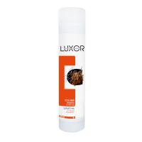 Изображение Шампунь для объема тонких волос LUXOR Professional, 300 мл в интернет-магазине ВОЛГТЕК
