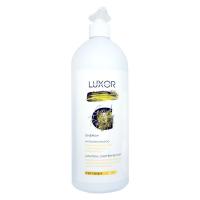 Изображение Энергетический шампунь против выпадения волос LUXOR Professional, 1000 мл в интернет-магазине ВОЛГТЕК