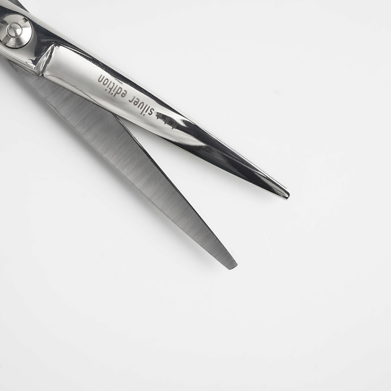 Изображение Парикмахерские ножницы прямые 6,0" Melon Pro silver edition SE-06 в интернет-магазине ВОЛГТЕК