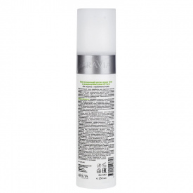 Изображение Очищающий тоник для жирной и проблемной кожи лица ARAVIA Professional Black Head Off Toner, 250 мл в интернет-магазине ВОЛГТЕК