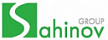 Sahinov Group